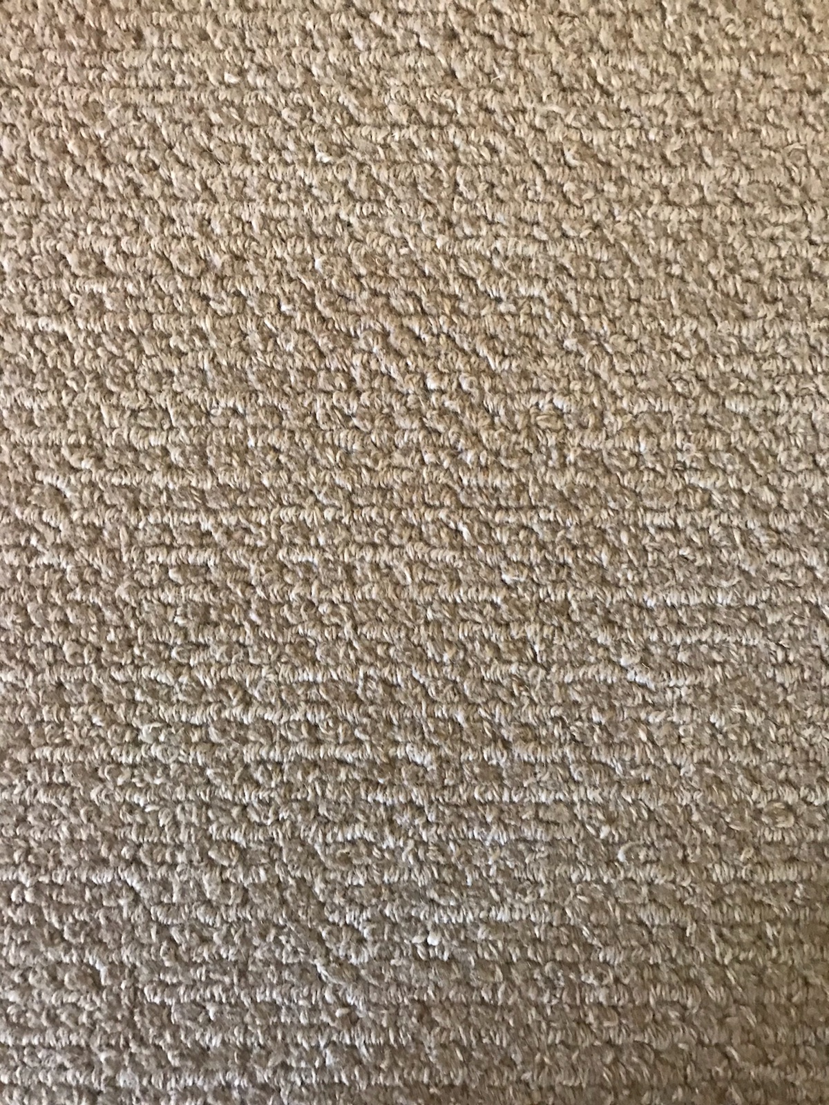 14501.jpeg