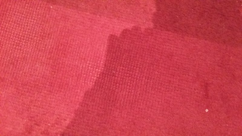 20161018_113035.jpg
