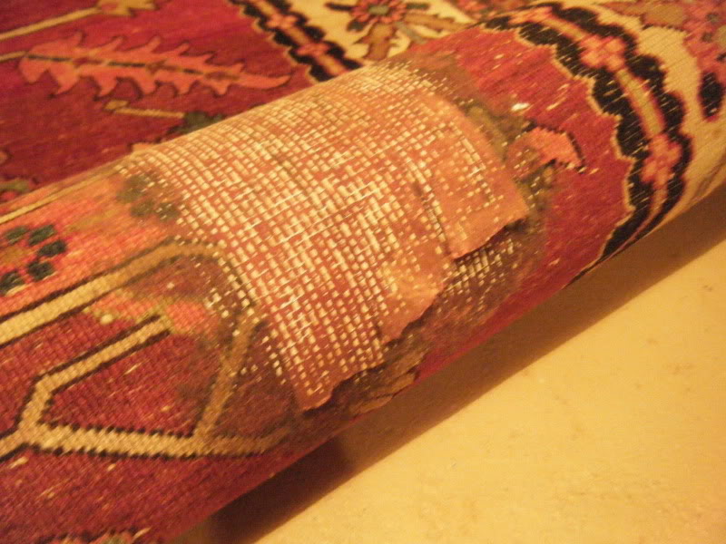 DSCF0602.jpg