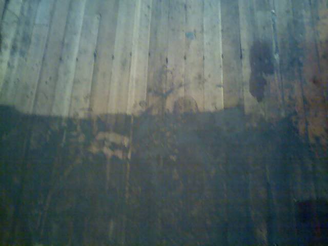 wood4.jpg