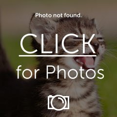 1238988788-1.jpg