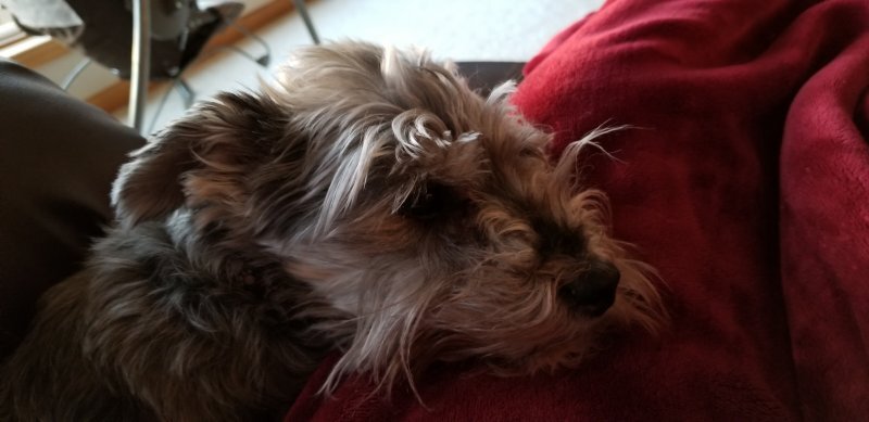 20181103_080928.jpg